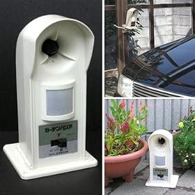 �K�[�f���o���AGDX�@�i�L�悯�j