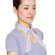 �q���J��(HIRAKAWA) �Ђ���W�F���X�J�[�t HG-SF-BL �u���[
