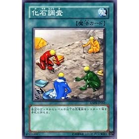 �V�Y���J�[�h �y ���Β��� �z ANPR-JP062-N �s�G���V�F���g�E�v���t�F�V�[�t