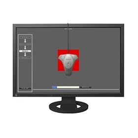 NANAO FlexScan 24�C���` TFT���j�^ 1920x1200 DVI-I29Pin DisplayPort  EASYPIX�t�� �u���b�N SX2462W-HXPXBK