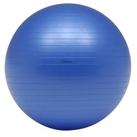 XYSTUS(�W�X�^�X) �{�f�B�[�{�[�� 65cm B-6165