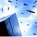 BEYOND[THE]BLUE(DVD�t)