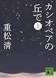 カシオペアの丘で