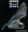 Bat (Wild Britain: Animals)