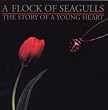 Story of a Young Heart