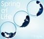 Spring of Life (�������Ձj�iDVD�t�j
