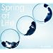 Spring of Life (�������Ձj�iDVD�t�j