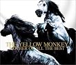 THE YELLOW MONKEY MOTHER OF ALL THE BEST (���񐶎Y�����)