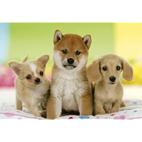 �߂���!�p�Y���̒B�l 300�s�[�X ����ɂ���� 25-120