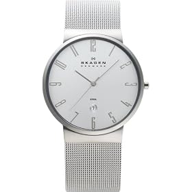 [�X�J�[�Q��]SKAGEN �r���v basic steel mens 355XLSS �P�[�X��: 40mm �����Y [���K�A���i]