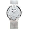 [�X�J�[�Q��]SKAGEN �r���v basic steel mens 355XLSS �P�[�X��: 40mm �����Y [���K�A���i]