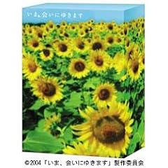 ���܁A��ɂ䂫�܂� DVD-BOX �q������萶�Y�r