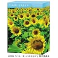 ���܁A��ɂ䂫�܂� DVD-BOX �q������萶�Y�r