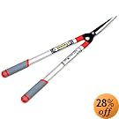 �S�[���f���X�^�[ �� �V�^�A���~�� �L�k ������(��) 2021