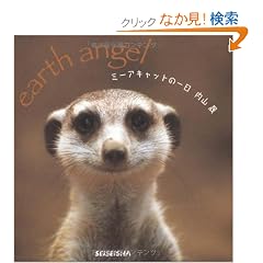�~�[�A�L���b�g�̈���\earth angel (SEISEISHA minibookseries)