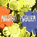 Passion Flower(���񐶎Y�����)