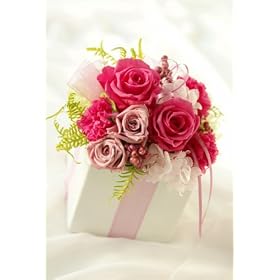 �t���f�R �v���U�[�u�h�t�����[ �y���A���[�z �s���N�I
