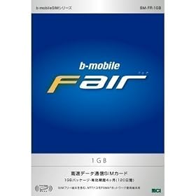 ���{�ʐM b���o�C���E�t�F�A 1GB SIM�p�b�P�[�W 120����