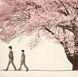 �� Spring Pac��age
