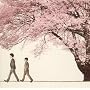 �� Spring Pac��age
