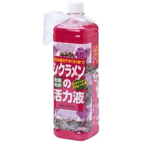 �Ԃ����� �V�N��������ʋ����t 1l