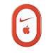 iPhone3GS�w���A�C�e��