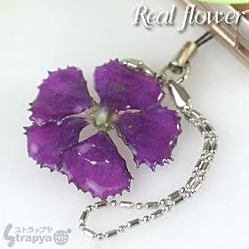 ���������Ԃō��ꂽ�a���ԁ�*���A���t�����[�g�уX�g���b�v�i7��/�Ȃł����j