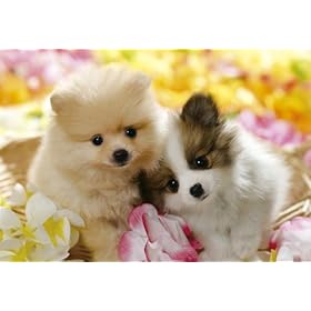 【クリックで詳細表示】めざせ！パズルの達人 300ピース ラブラブわんこ 25-119