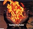 Wild Flower~�Ԃ̂����~