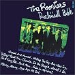 ROCK��N ROLL BIBLE