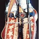 SHERYL CROW live at ������