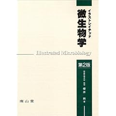 �C���X�g���C�e�b�h�������w