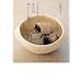 ���낻���l�̂���������炵