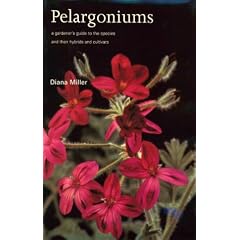Pelargoniums: A Gardener's Guide to the Species and Their Cultivars and Hybrids