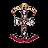 Appetite for Destruction