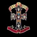 Appetite for Destruction