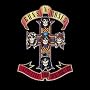 Appetite for Destruction