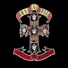Appetite for Destruction