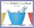 White Rabbit's Color Book (Little Rabbit Books)