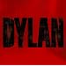 DYLAN THE BEST(���񐶎Y�����)