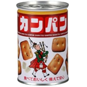�O�� �ʓ��J���p�� 100g�~24��