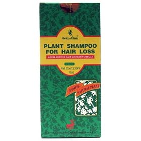 �A������уV�����v�[ 240ml