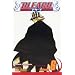 Bleach vol.6(Bleach)