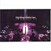 Utada Hikaru in BudoKan 2004 �q�J����5 [DVD]