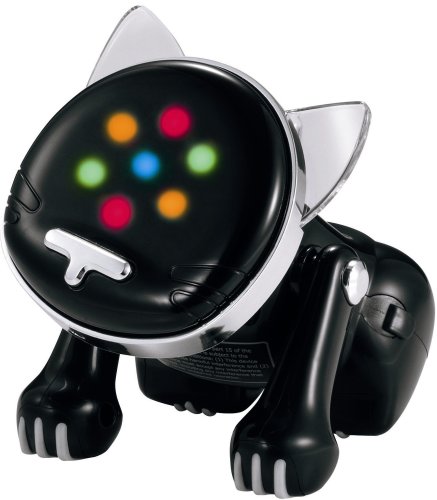  I-CAT US ブラック