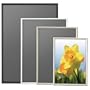 �|�X�^�[�t���[�� �V�F�C�vB2�i515��728mm�j�V���o�[