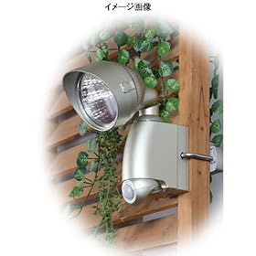 �m�[�u�����h �\�[���[�Z���T�[���C�g �V�����p�[���S�[���h SOE-0359
