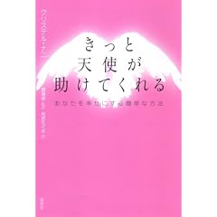 きっと天使が助けてくれる (あなたを幸せにする簡単な方法) (単行本)クリステル ナニ (著), 菅靖彦監訳 花丘ちぐさ訳 (翻訳)