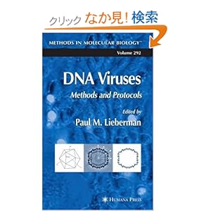 【クリックでお店のこの商品のページへ】DNA Viruses: Methods and Protocols (Methods in Molecular Biology): Paul M. Lieberman: 洋書