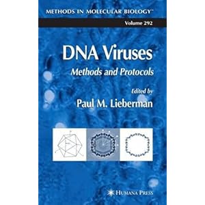 【クリックで詳細表示】DNA Viruses： Methods and Protocols (Methods in Molecular Biology)： Paul M. Lieberman： 洋書